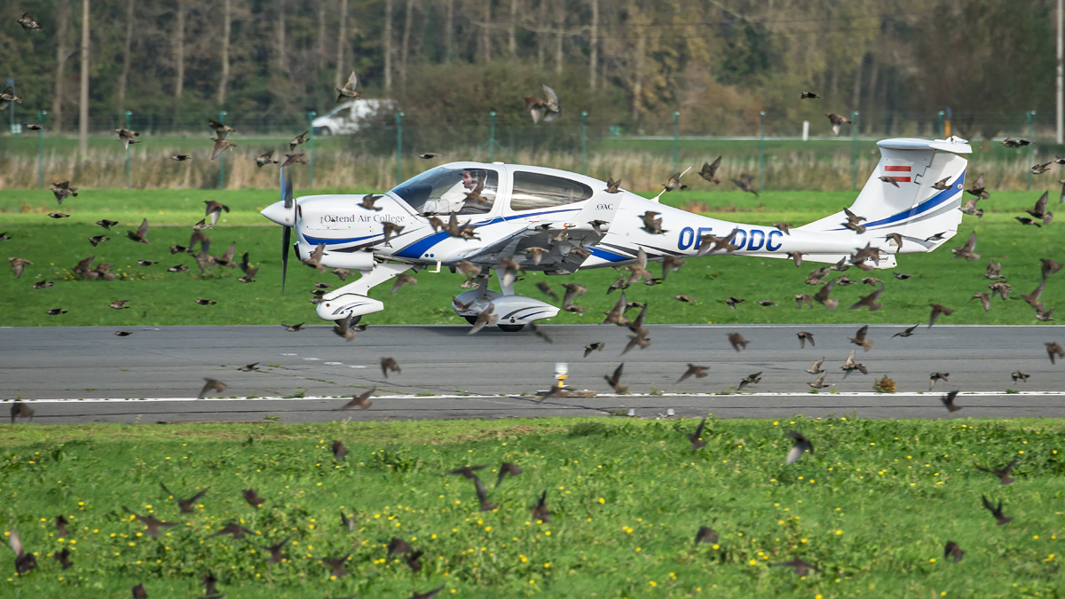 OE-DDC Ostend Air College (OAC) Diamond DA40NG Diamond Star