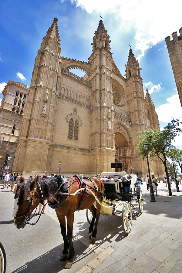 Die Kathedrale von Palma